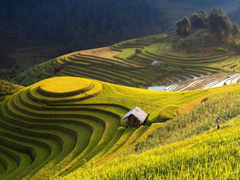 Mu Cang Chai Rice Terraces In Vietnam Placeaholic 8609