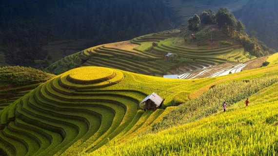 Mu Cang Chai Rice Terraces in Vietnam - Placeaholic