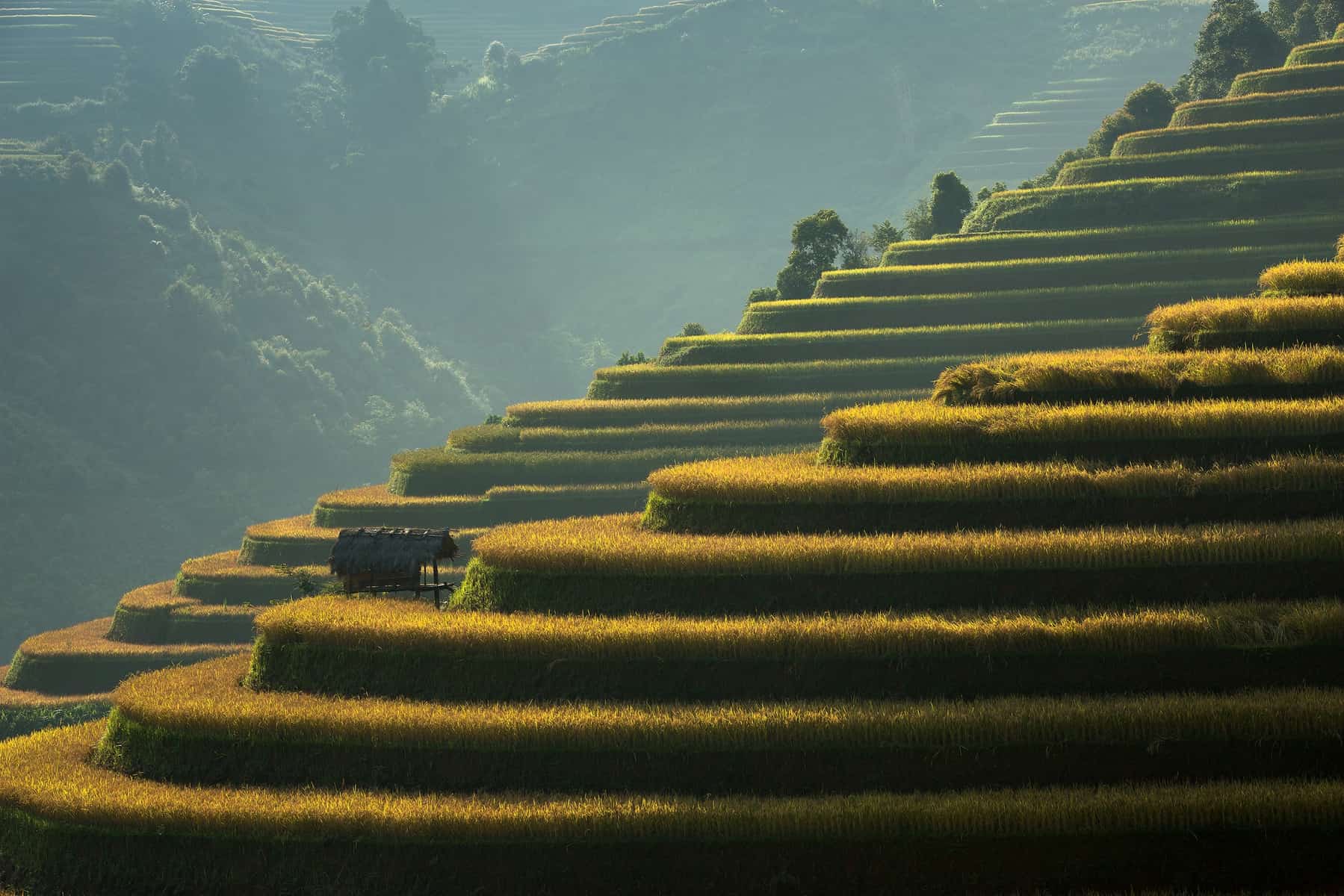 Mu Cang Chai Rice Terraces in Vietnam - Placeaholic